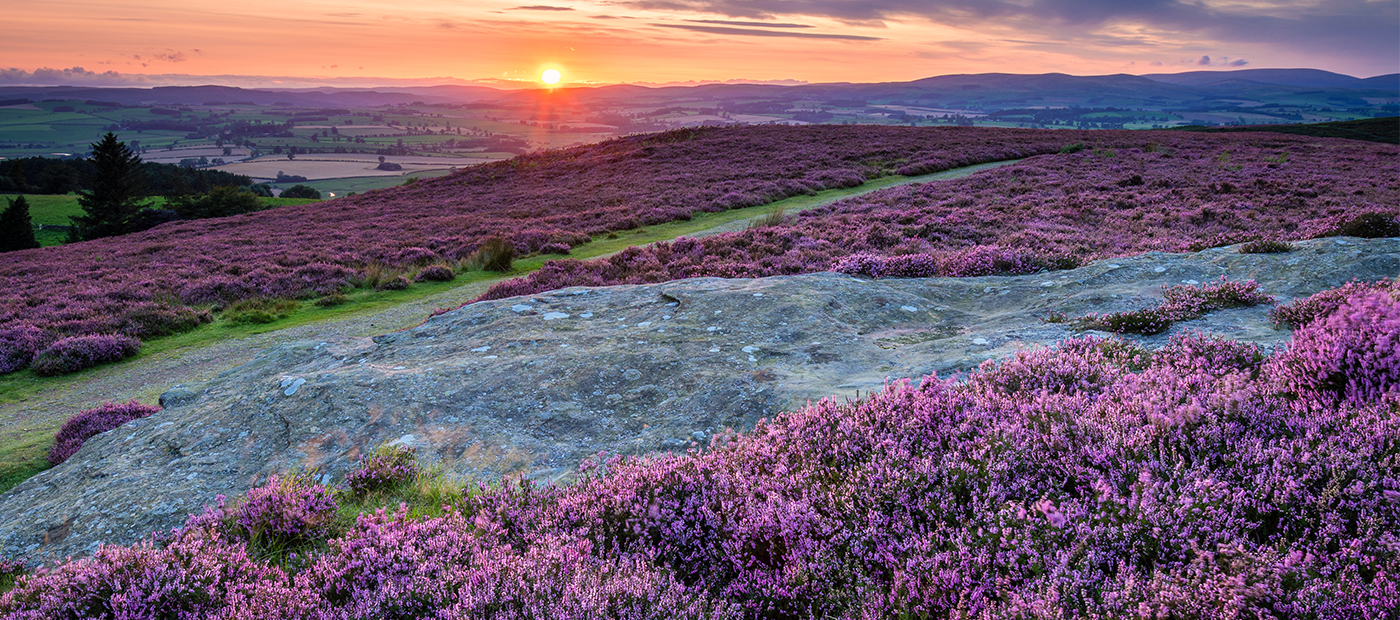 Simonside